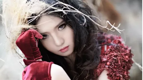 自驾游撞死马匹事故